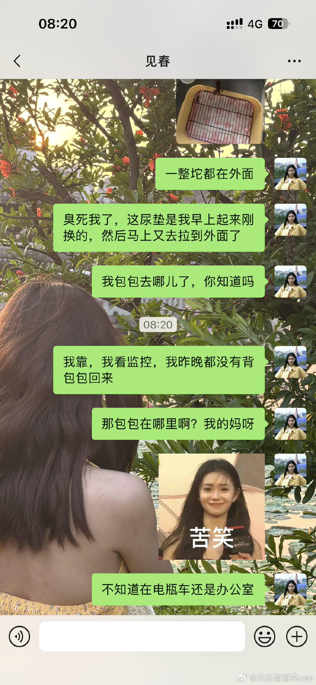 包包失踪案​