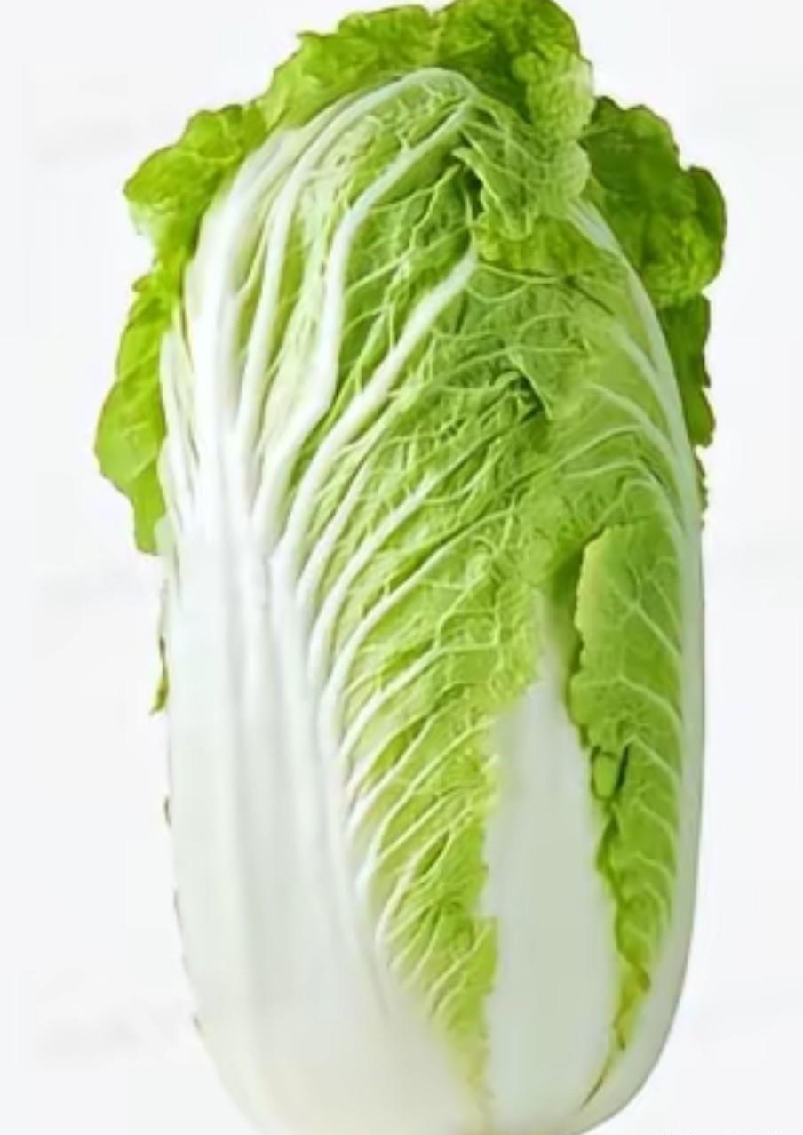 菜市场里，白菜告别了白菜价。今年不少地方白菜地头收购价一度低至每斤不到三毛钱