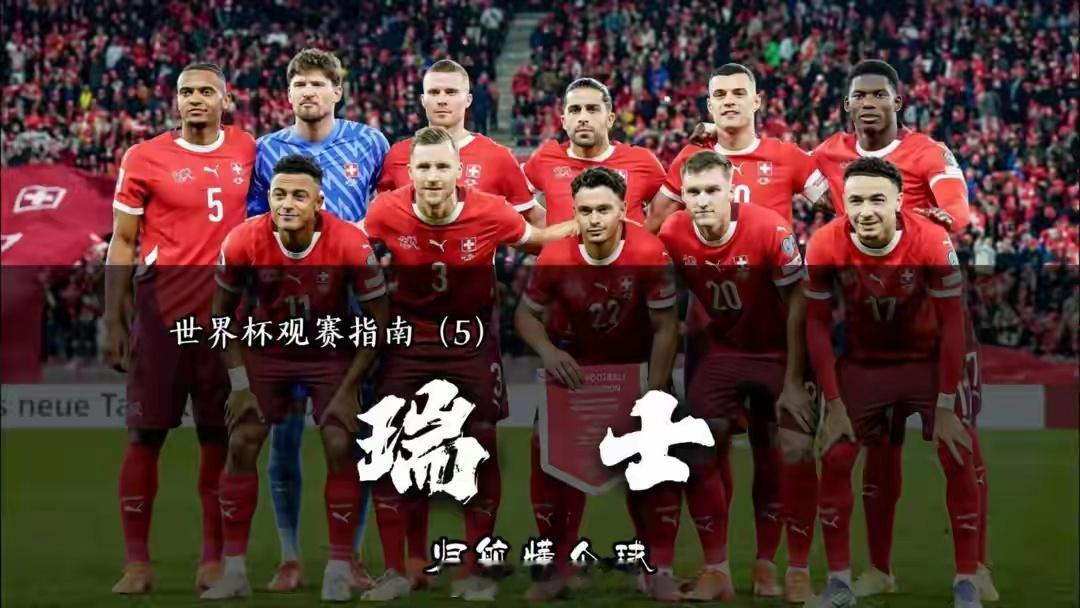 周六005世界杯卡塔尔VS瑞士预测：让负/让平瑞士全队五大联赛班底，身价