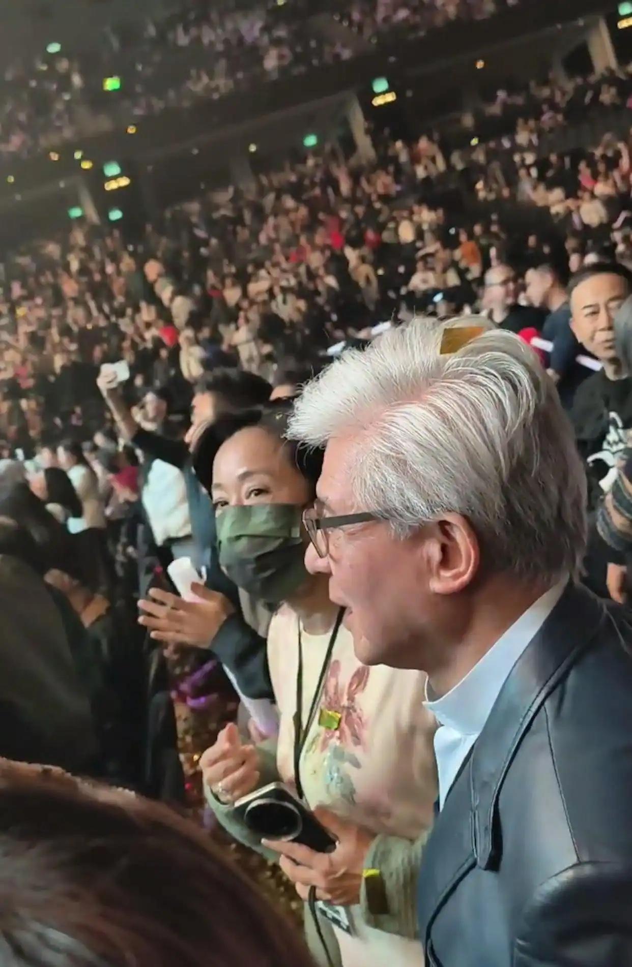 朱玲玲带现任看演唱会，霍启刚霍启山陪同，继父子同框相处超融洽