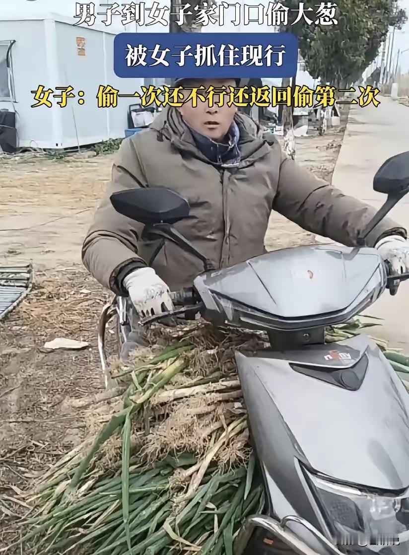 震惊！江苏菜地现“偷葱事件”女子当场抓现行，男子竟说“就这么一点”！背后隐藏的诚