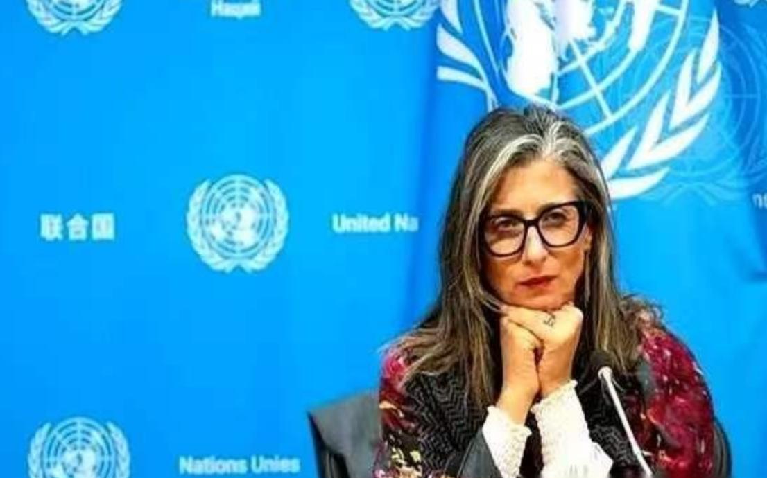 联合国里，终于来了个狠人。一个叫阿尔巴内塞的女人，当着全世界的面，把一份报告