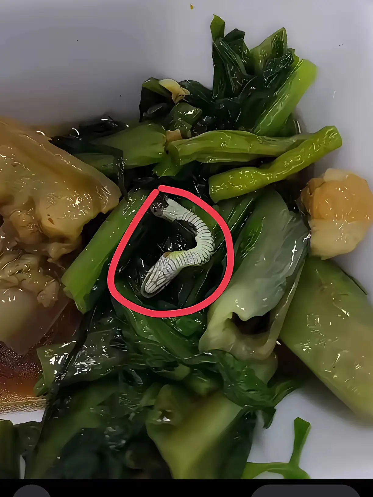 从这看，这家快餐店压根都不摘菜洗菜