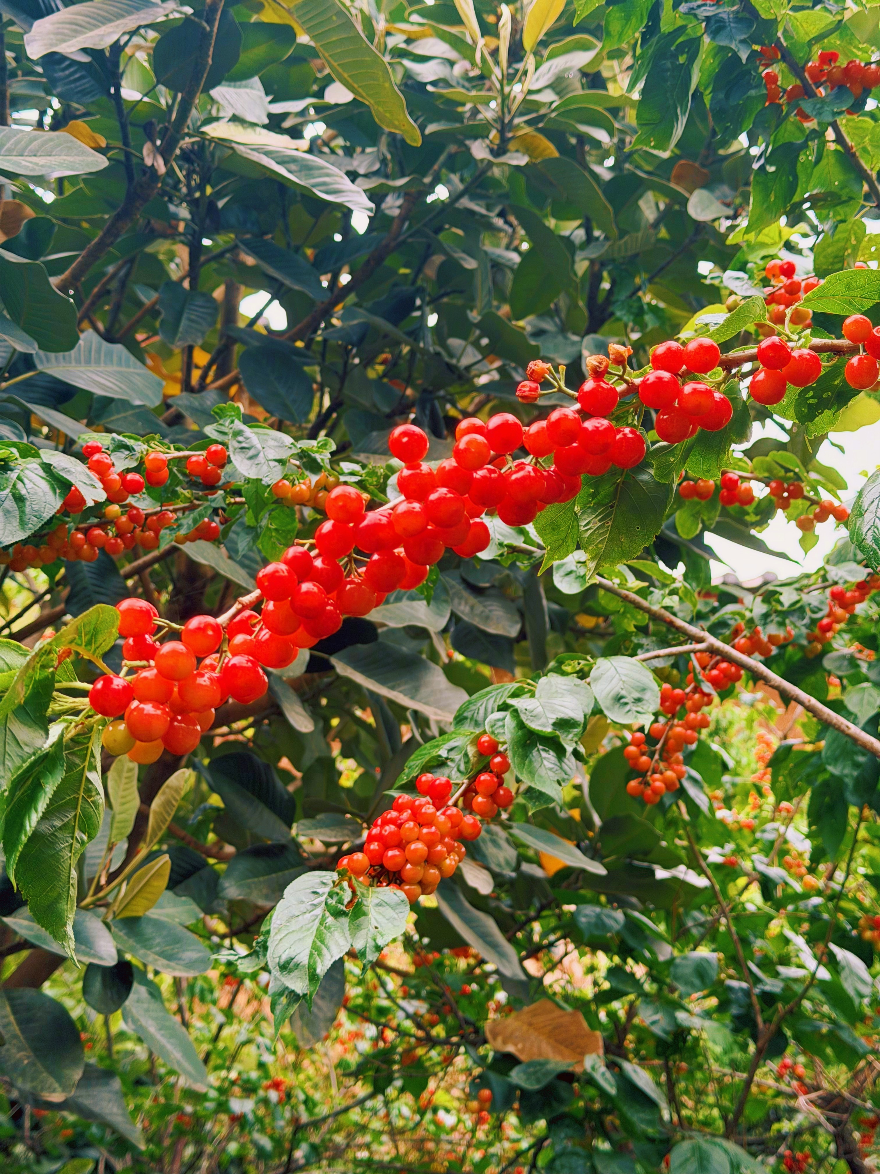 世上只有一种真正的奢侈，就是在自己每天重复的习惯里，不断地遇见美好。——《半山文