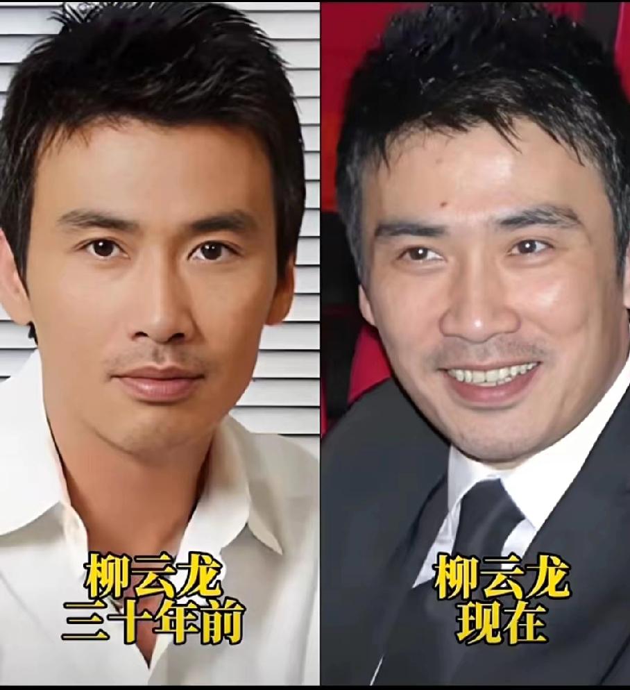 三十年前颜值外形形像分满分，三十年后颜值外形形像分值多少分？柳云龙是中国影视圈外