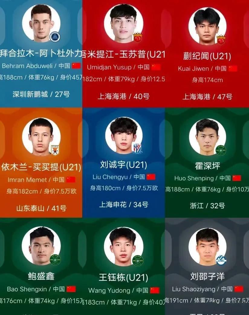 2030年世界杯预选赛的主力球员如下：王钰栋、蒯纪闻、伊木兰、刘邵子洋、徐斌、