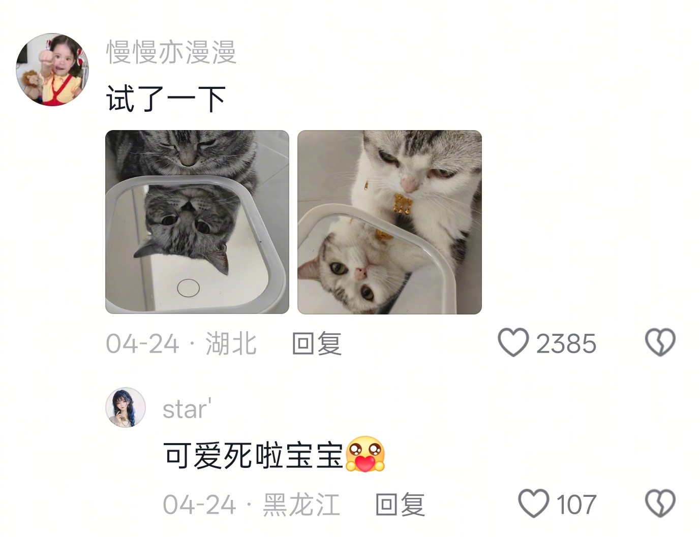 咪咪委屈，但，装的！！！