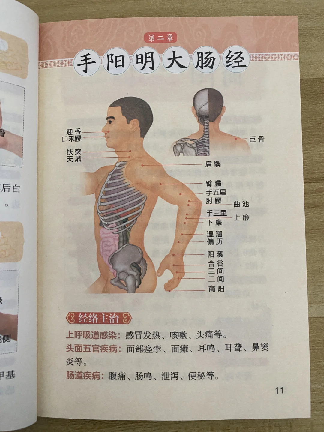 这个方法记经络穴位位置蛮简单的！
