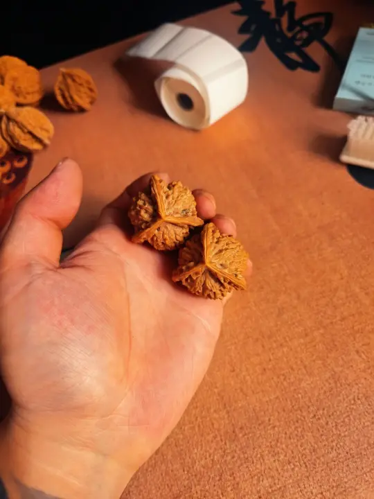 看看你的三棱