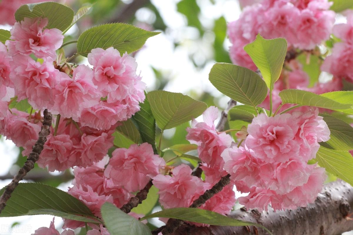 人生不如意事十之八九，今天还过着悠闲的生活，明日就可能跌落谷底，你永远不知道明天