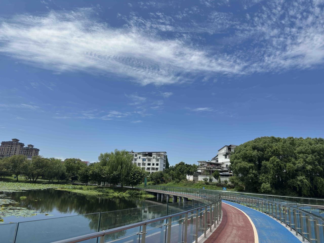 今天早上8:00从家里出发，到父母家8:15，一眼就看到母亲卧室里小饭桌上的早点