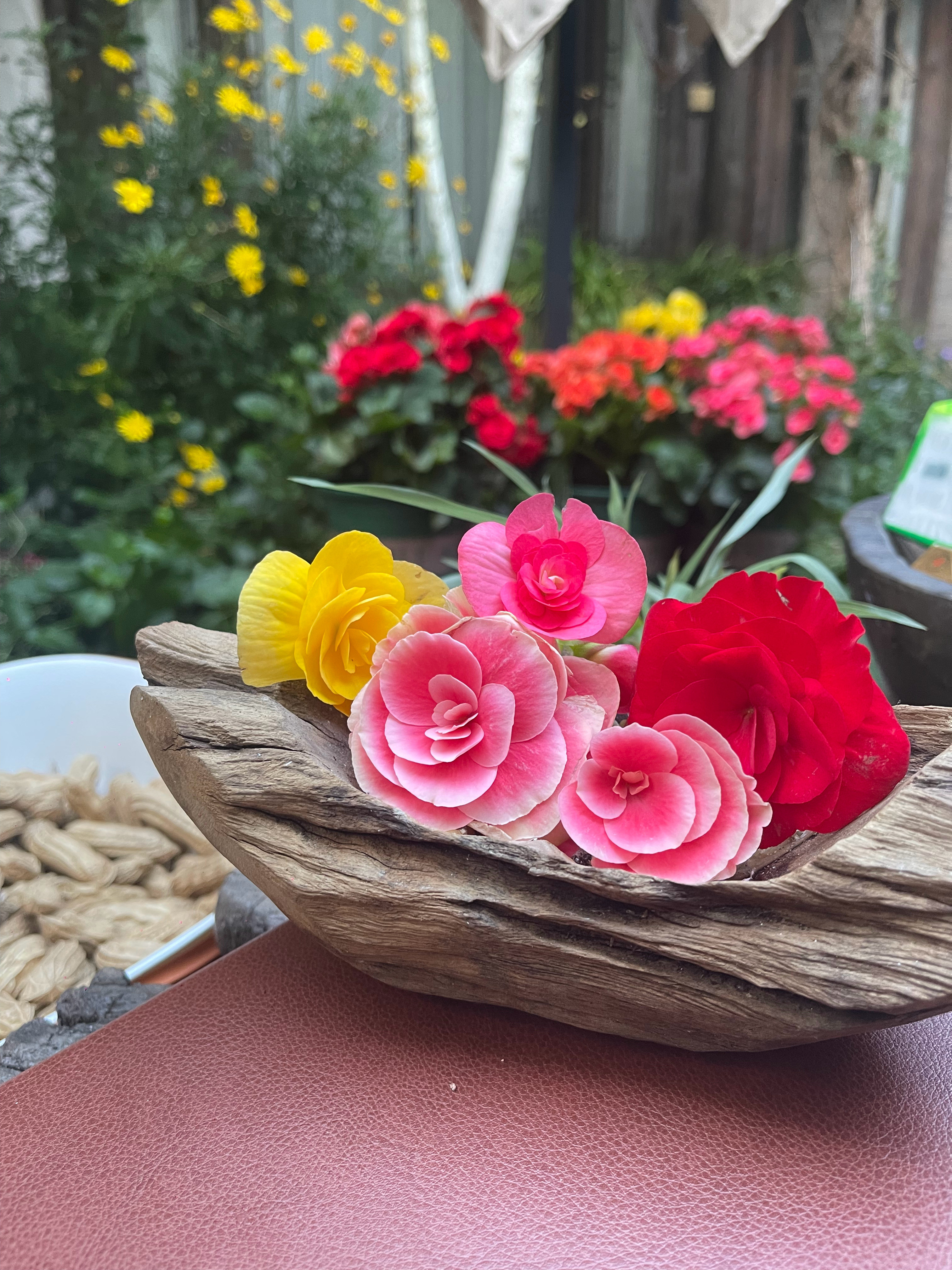 心灵上极致的干净,就是身边的每一件事情,都像是从来没有发生过一样。一切都这么新鲜