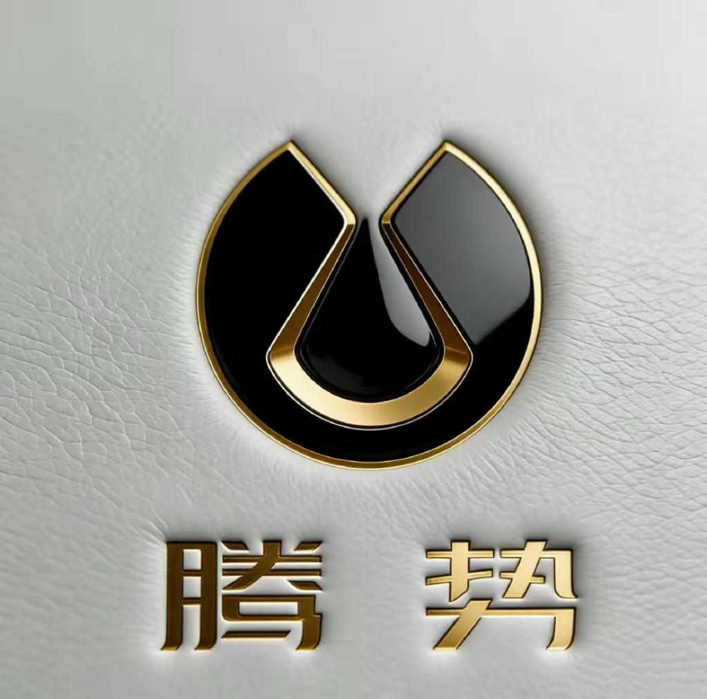 网友是懂如何空手造尊贵感的。既然​有金标大众，那金标腾势和罗狗新诠释这个可以有。