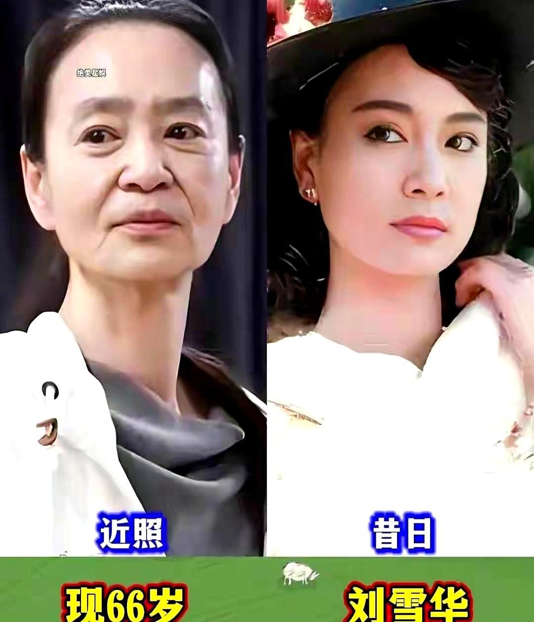 98岁师伟坐轮椅逛胡同，92岁王晓棠还在给新人站台，67岁胡慧中跟女儿穿蒙古袍拍