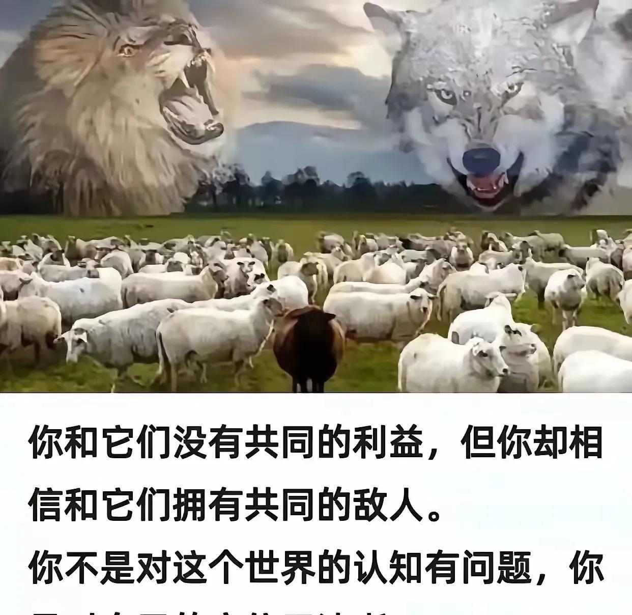 敌人的敌人是朋友，从逻辑上讲是不成立的。