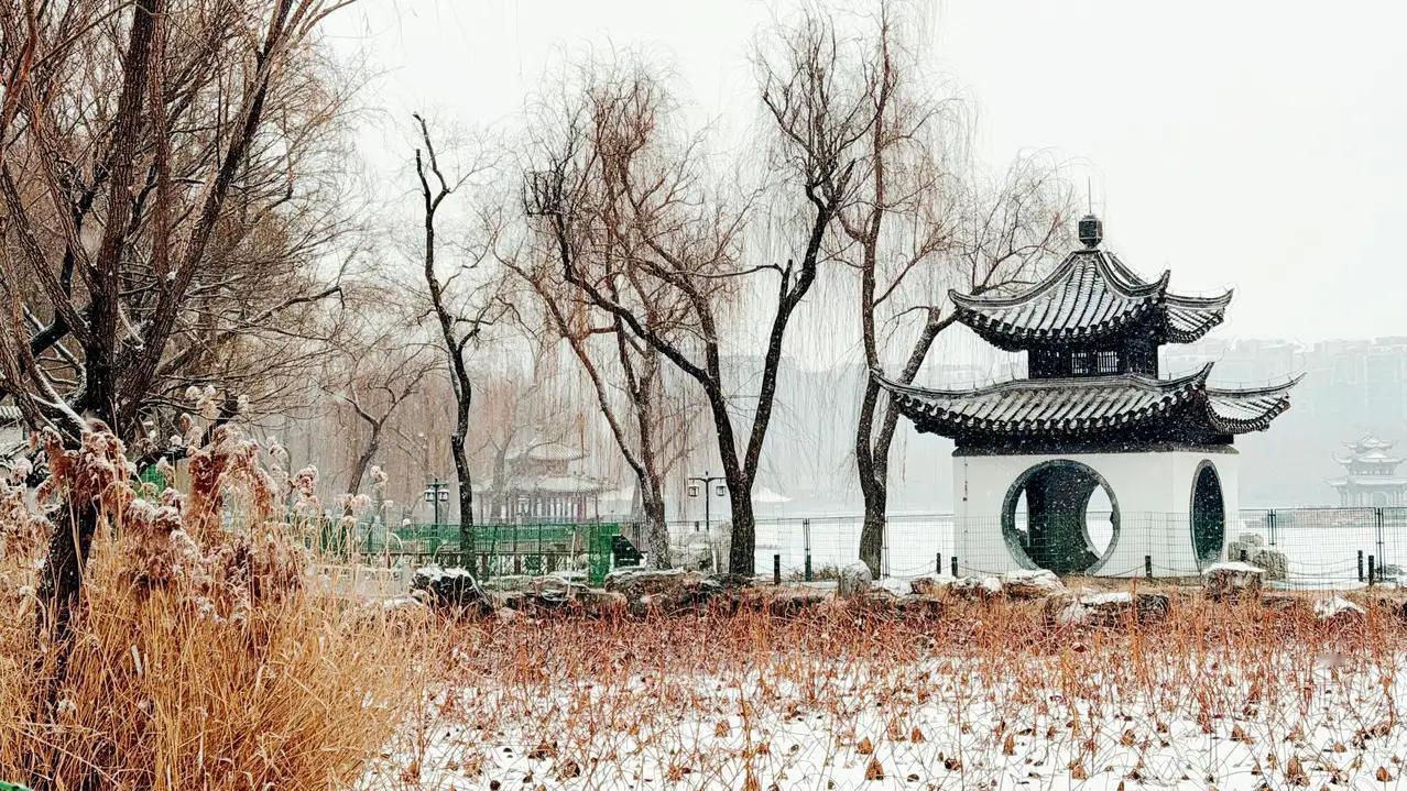 北京一下雪，陶然亭公园就美成了诗。初雪降临，飞雪给亭台楼阁裹上银装，残荷在白雪中