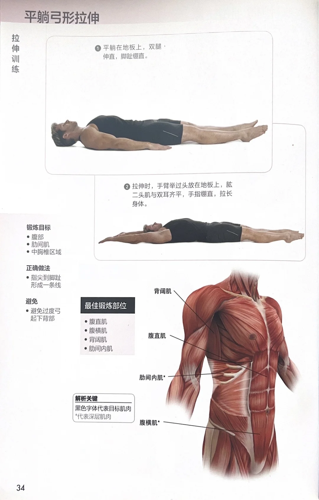 拉伸放松马甲线