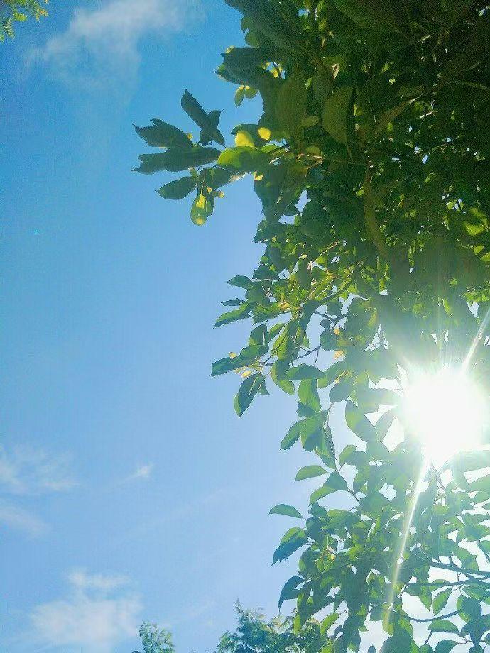 一位心理学家说：拥有随时随地离开的勇气和底气，是一件多么炫酷的事情，也是一件必须