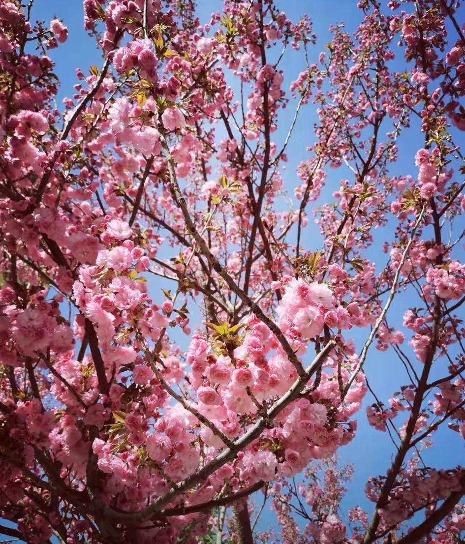有个孩子在重点高中，在平行班总是第一，我和她妈是好朋友，经常问她考试成绩。她总是