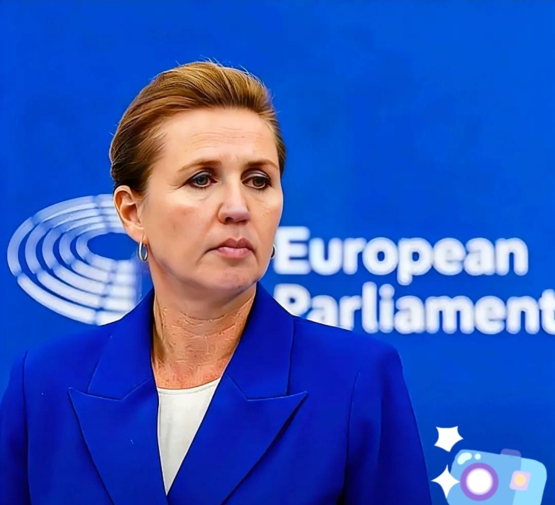 欧盟这回彻底“豁出去”了“欧洲玩自宫还很嗨”，这是网友对欧盟27个成员国在