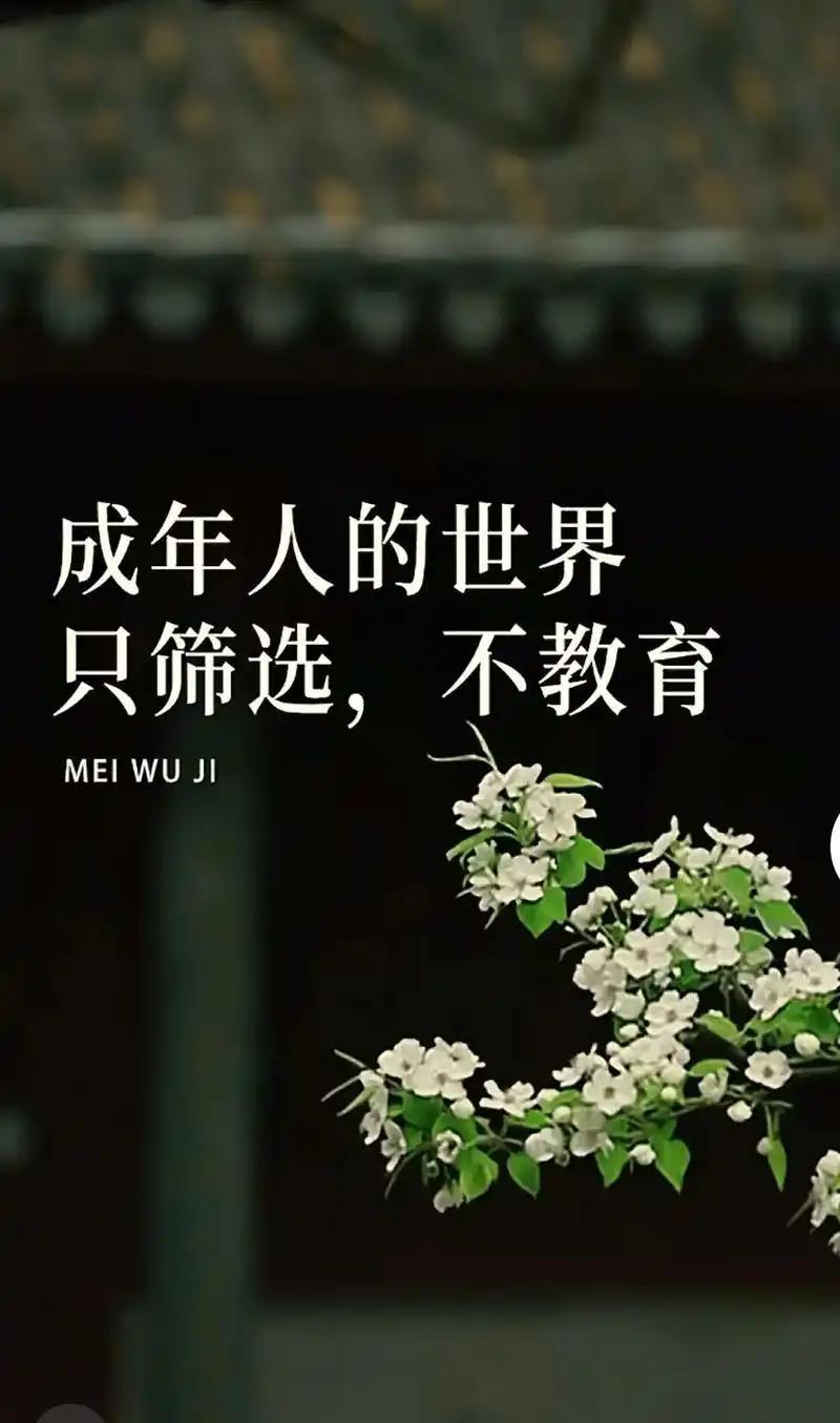 人到中年才懂：不劝朋友、不渡他人，是顶级的清醒我在基层单