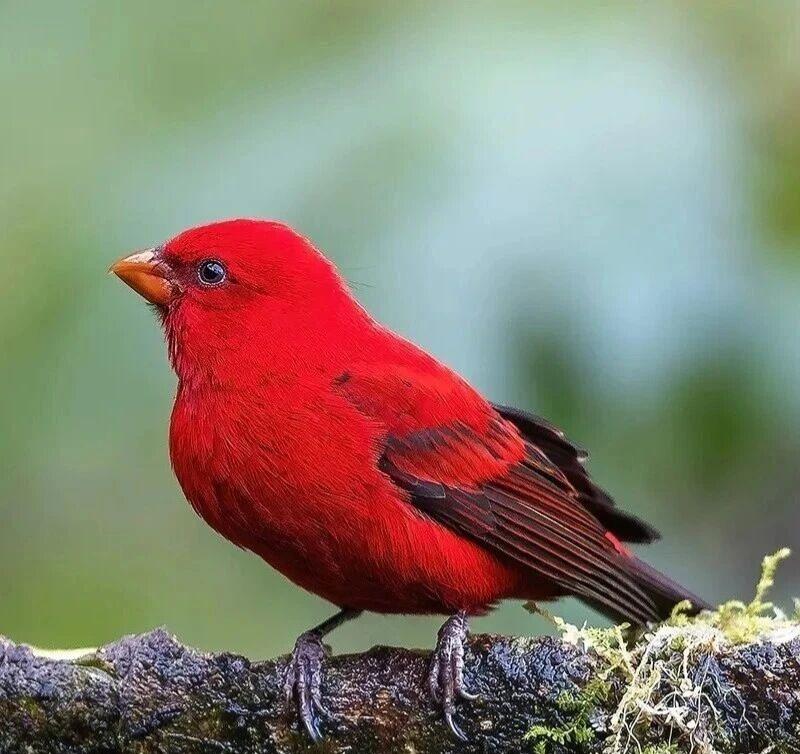 刚才弹会儿钢琴🎹和发小说说弹琴的乐趣，即弹琴可以忘掉一切烦恼，也可以记住优美动