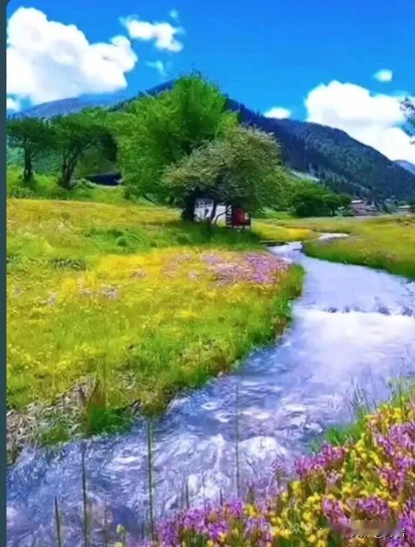 养出自身好风水的10个习惯1️⃣稳住心态，少怨多上进少抱怨命运不公，遇