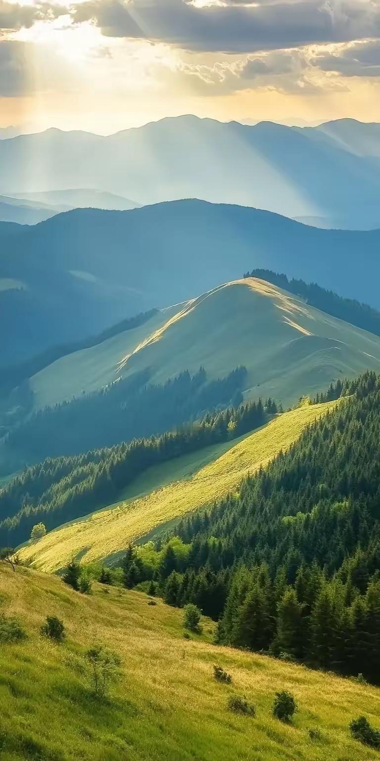 一位著名律师说:“去派出所报警，遇到民警态度很不好，比如警察冲你大声嚷嚷，还用