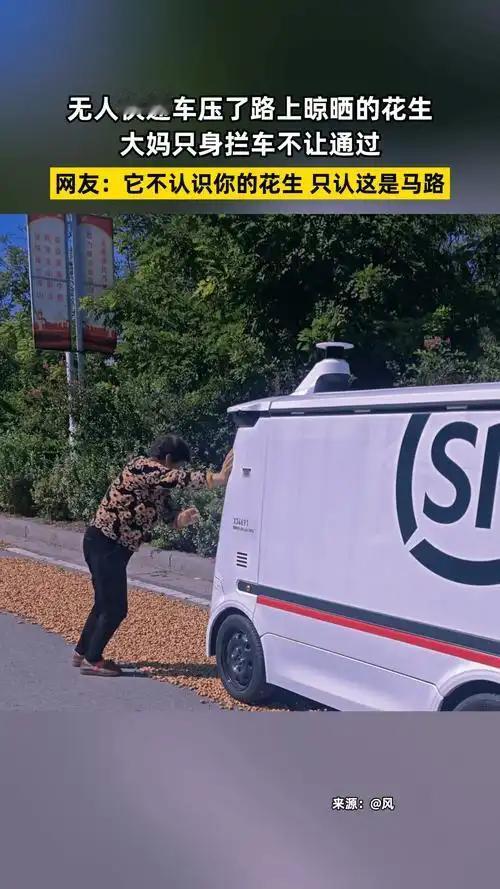 近日一段视频：一无人快递与一晒花生大妈故事，笑翻了网友：一个敢走，一个敢推……