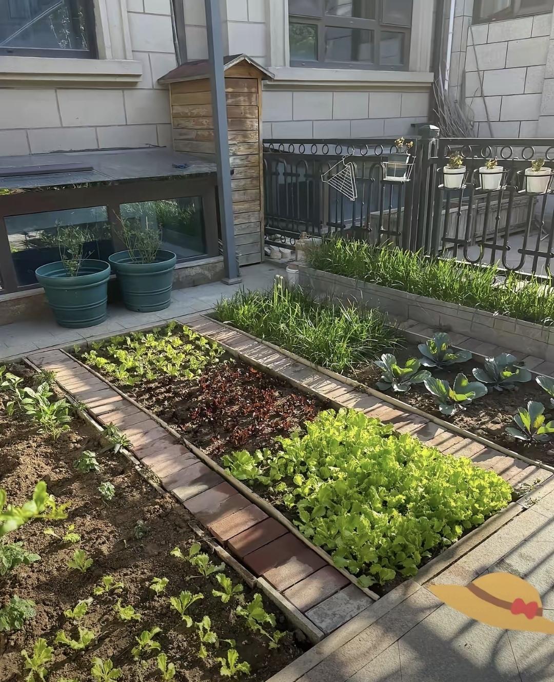 梅婷在北京顺义那套估价八千万的别墅，网上光说装修多高级、朋友来得多热闹，其实最让