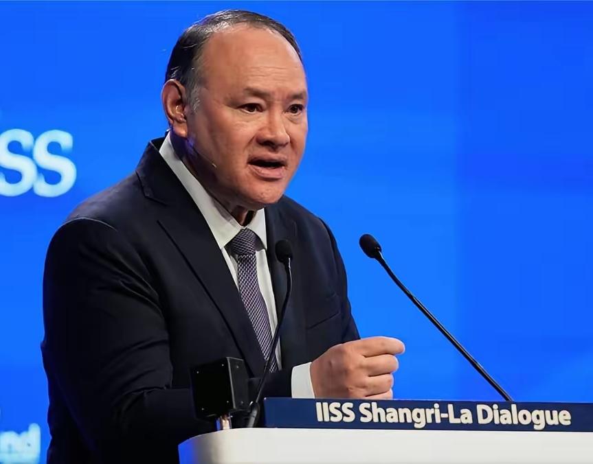 香格里拉对话会上，菲律宾防长的一番表态，再次让我们领教了什么叫“喂不熟的白眼狼”