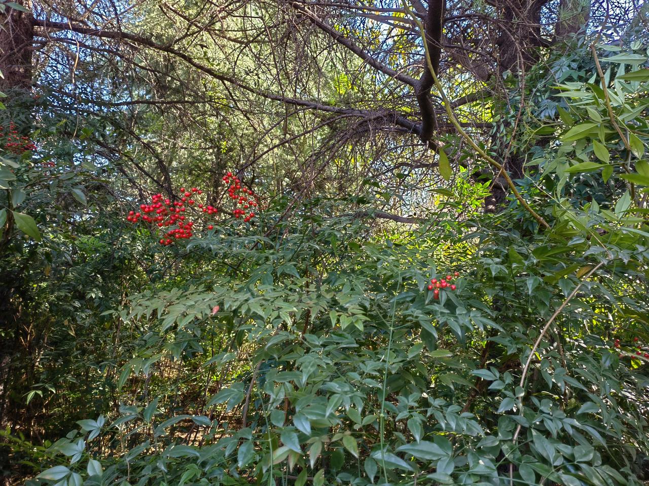邻居家孩子在读研，理工科，江苏科技大学郭伟暴露后问他，郭伟一个高中毕业生，在科技