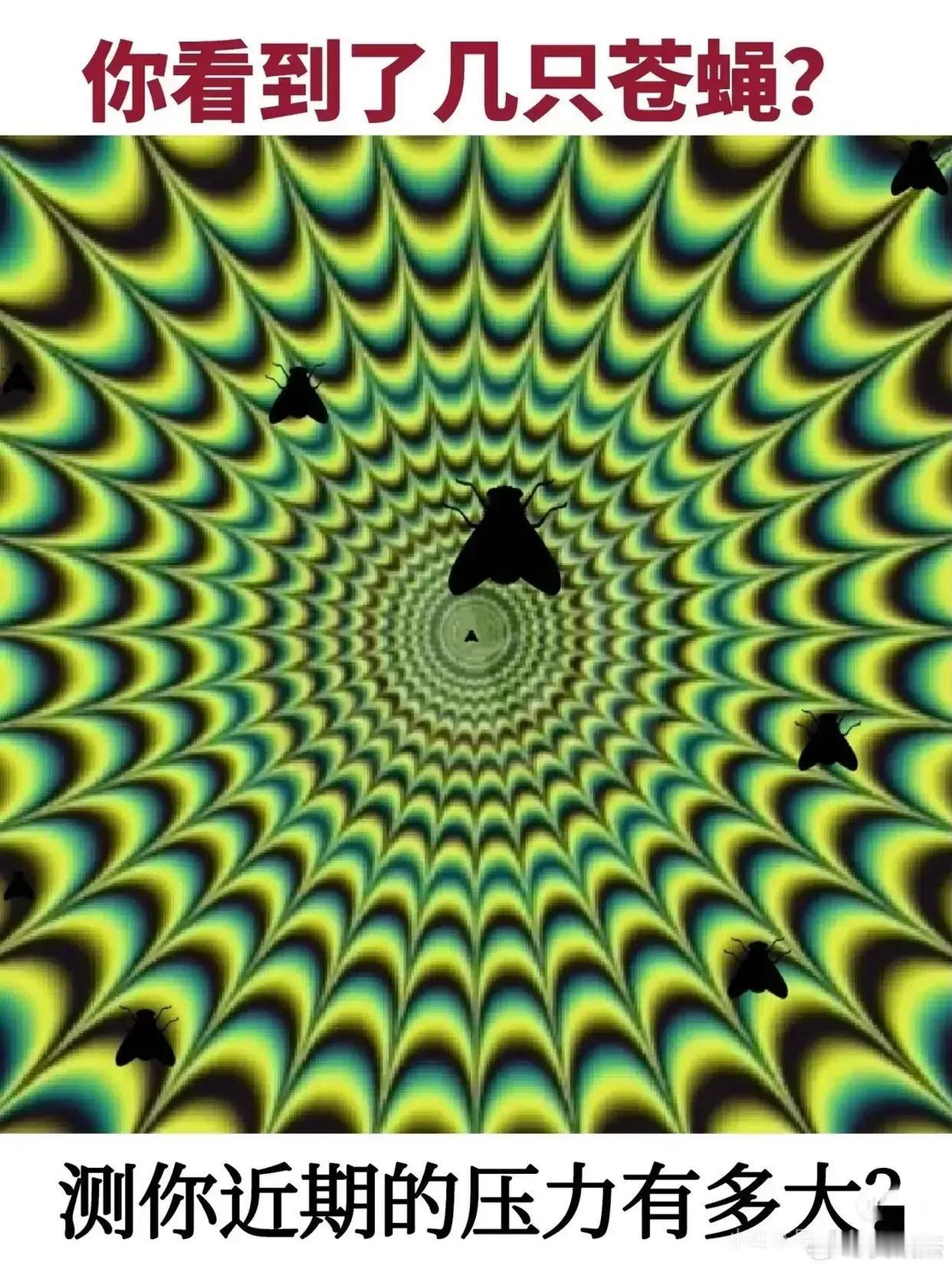 压力山大，眼睛一眨多一只苍蝇！​​​