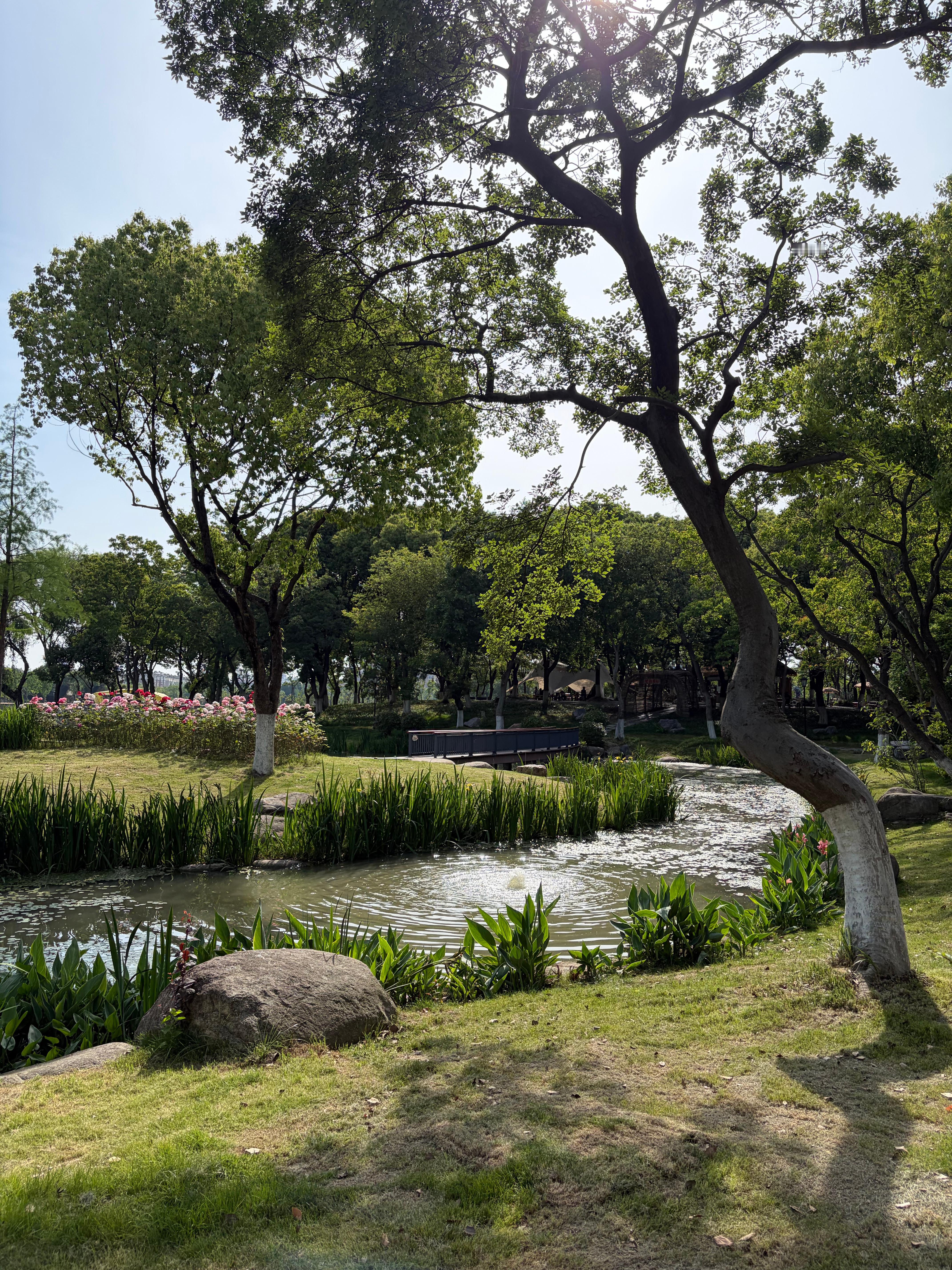 好天气就应该去逛公园