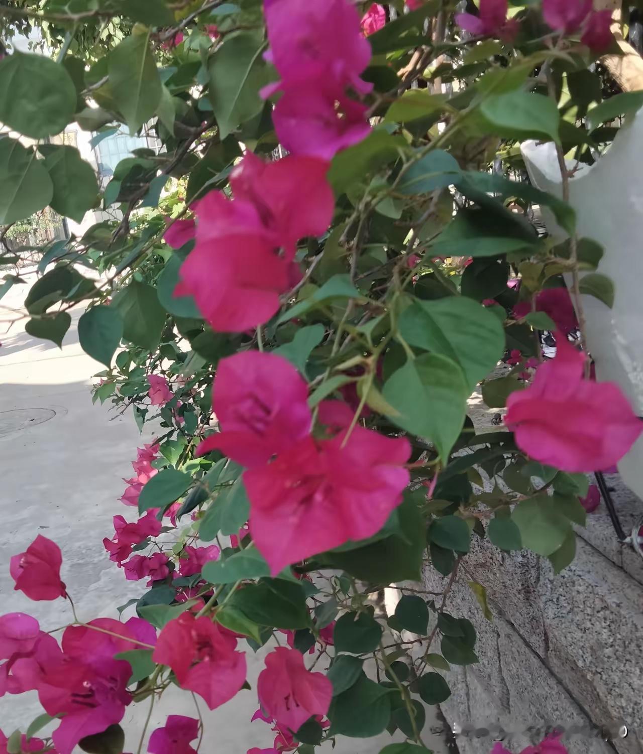 下面的几个正科级干部，能提拔为副县长的，大家觉得谁最有可能呢？1、县城所在街道