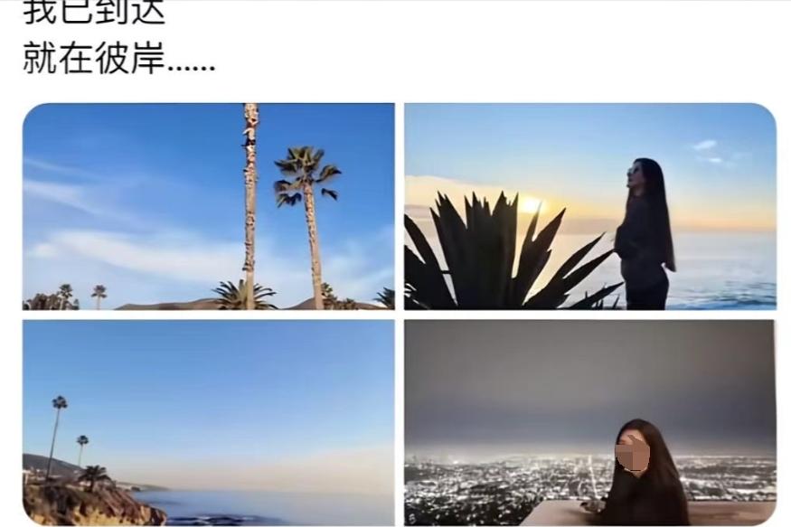 仙女觉得在中国无论是男人还是工作，都难以配得上她美丽的容颜，于是毅然决然润去了美