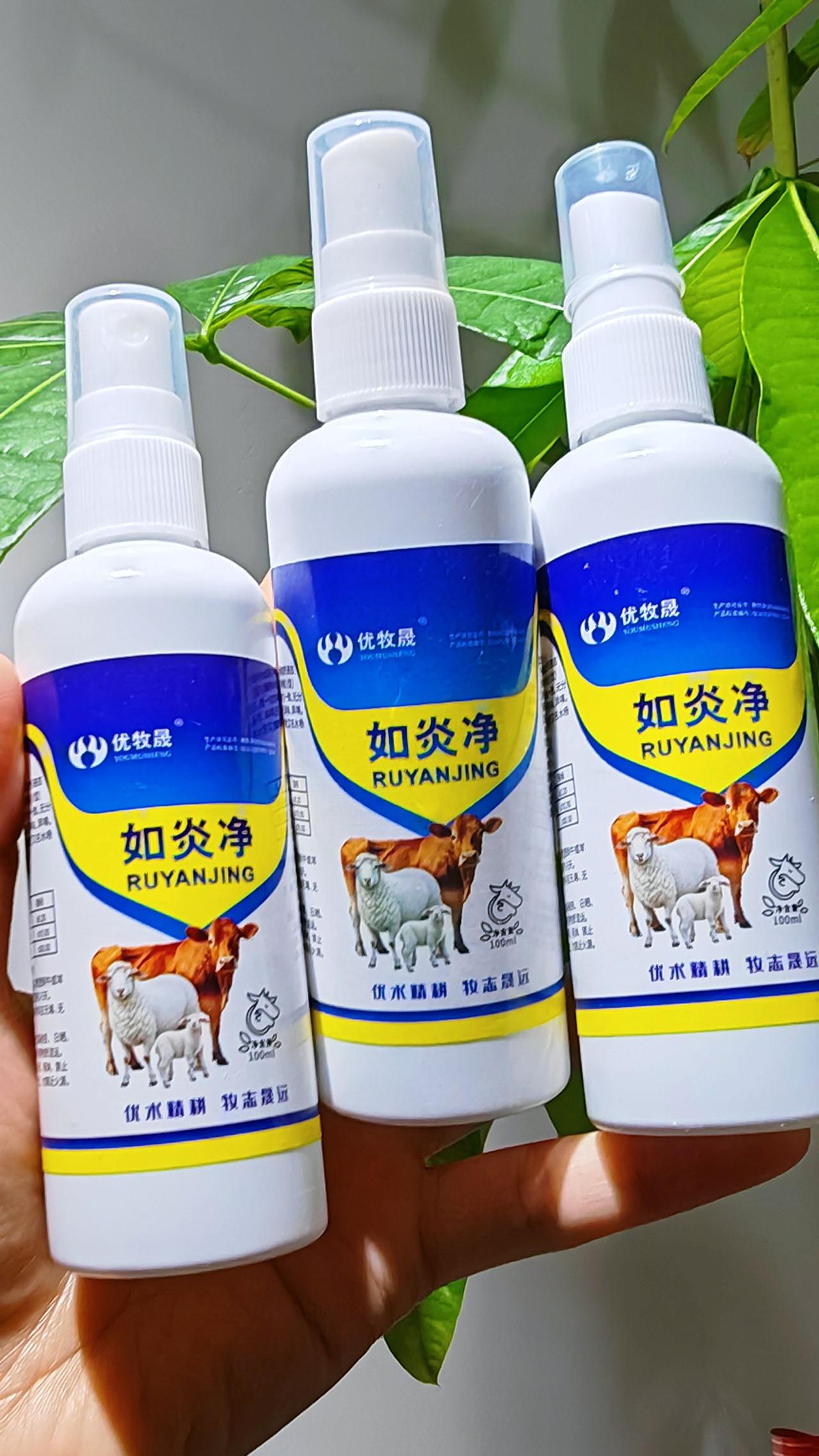 养羊人牛羊乳房炎农村养羊牛羊养殖