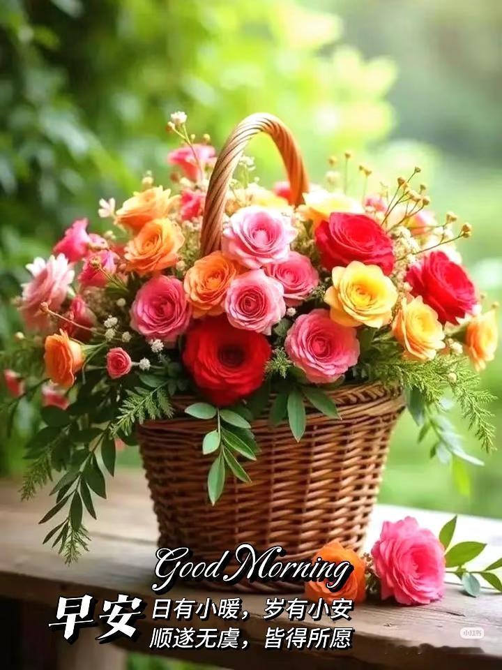 早安吉祥昨天忙也好，闲也罢，都已过去，今天开启新的一天，愿你今天好好挣钱，钱