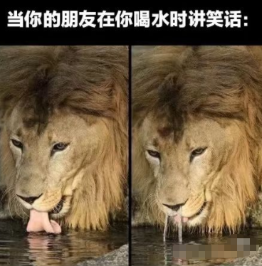 这是有多好笑阿