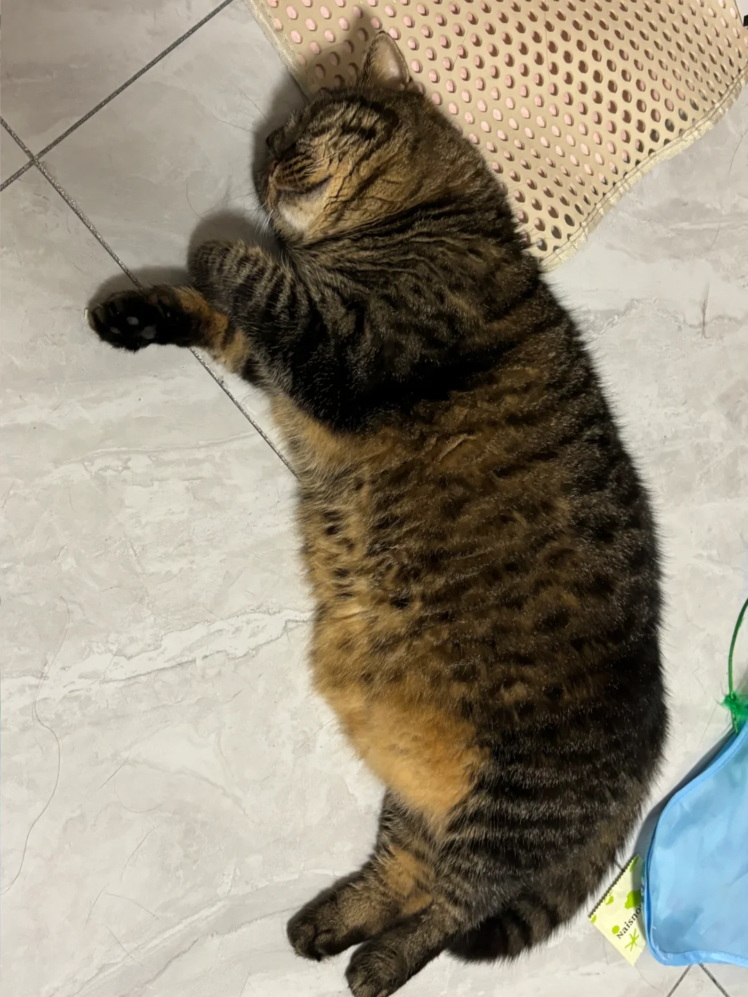 睡着了好像个小宝宝呀