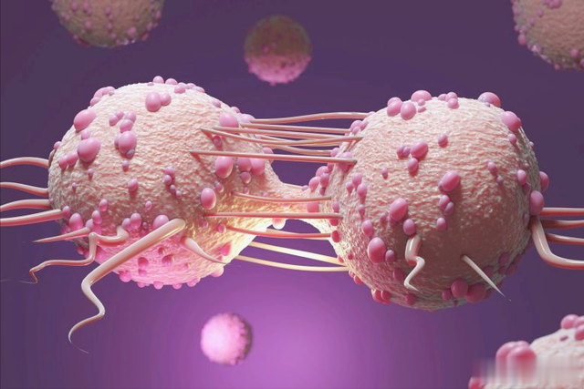 革命性的生物学发现: 将 DNA 和 RNA 联合起来对抗癌症