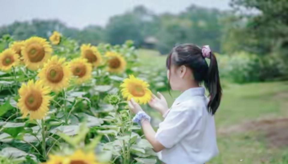 这五句话，是每个孩子心底最深的渴望。“没关系，我在这。”——当他害怕、犯错或哭泣