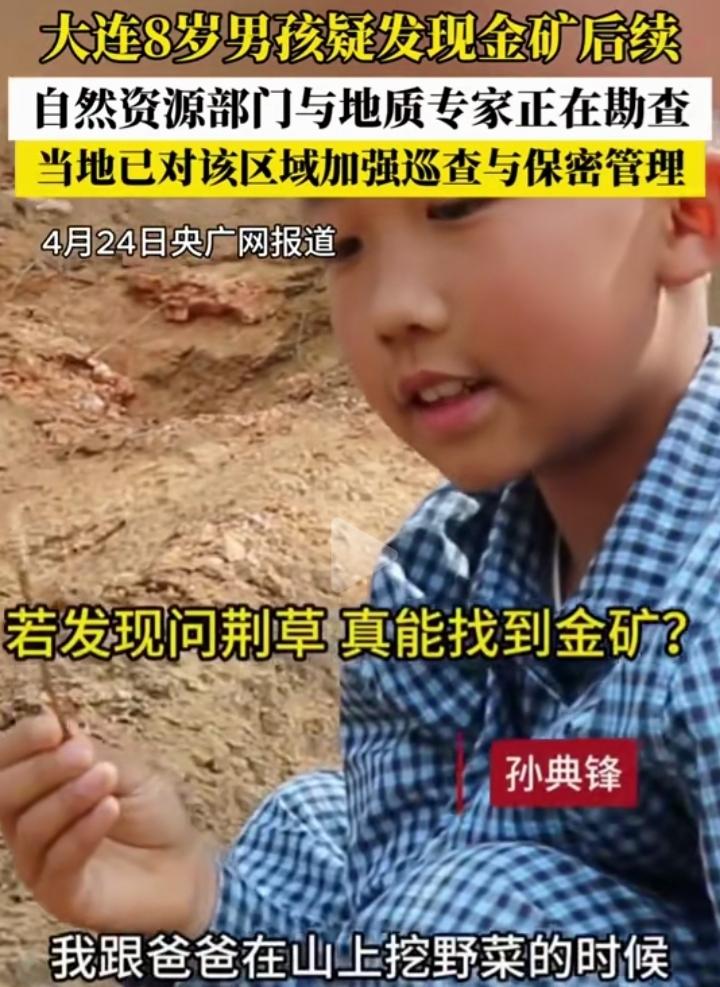 大连8岁小男孩跟着爸爸上山挖野菜疑似发现金矿线索，他凭平时看的科普知识认出了找金