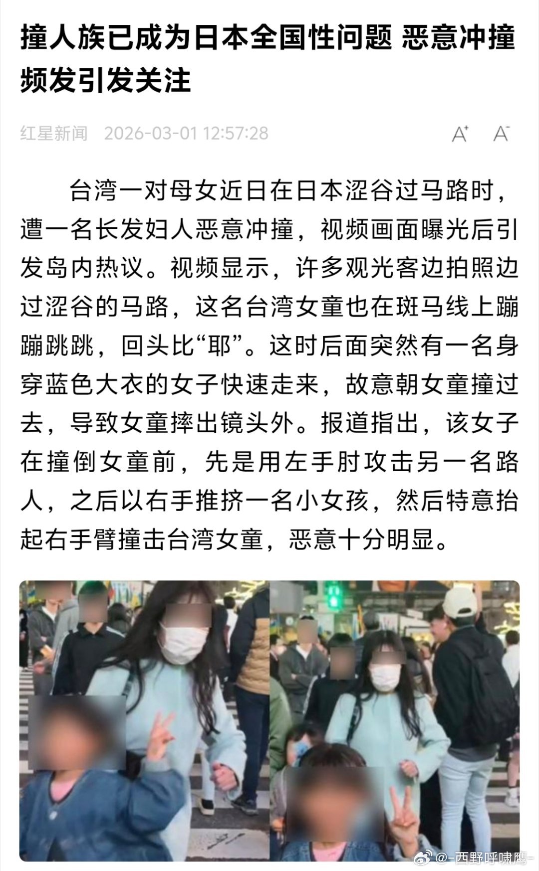 撞人族已成为日本全国性问题如果是蛙蛙的话，那没事了~