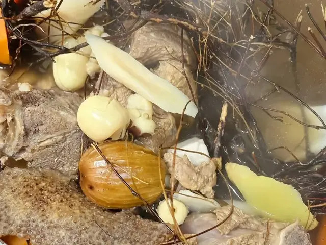 春雨绵绵湿气重, 推荐大家常喝八款除湿汤, 除湿降肝火, 老少皆宜