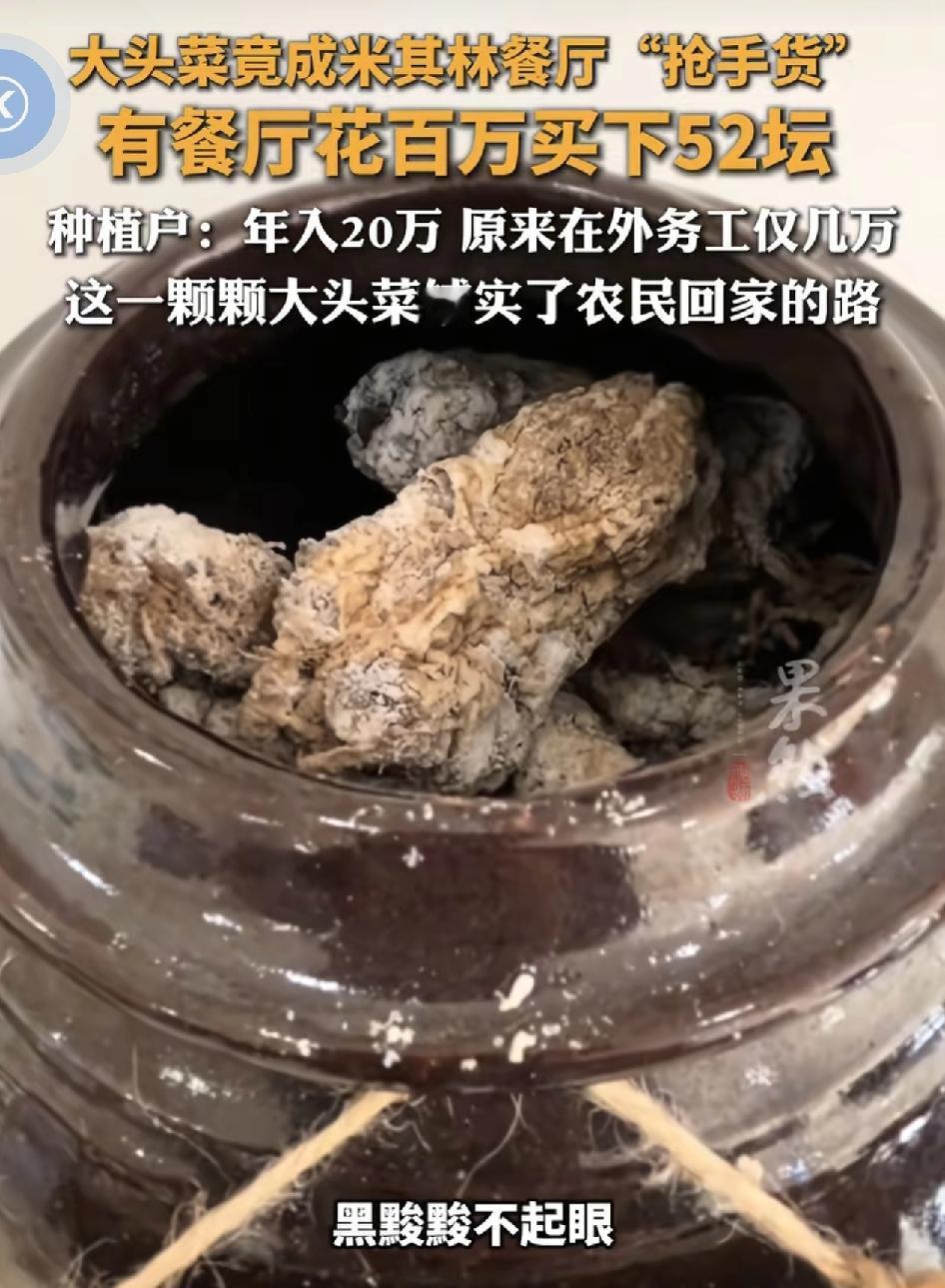 平平无奇的大头菜竟然成为米其林餐厅的抢手货。有餐厅花百万买下了52坛的大头菜。原