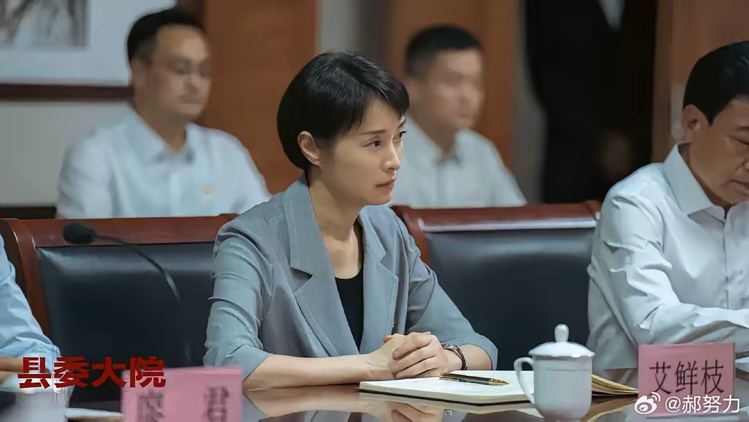 《小城大事》，赵丽颖换成吴越就好了，不是演技不够好，而是长相气质的适配性。“女干