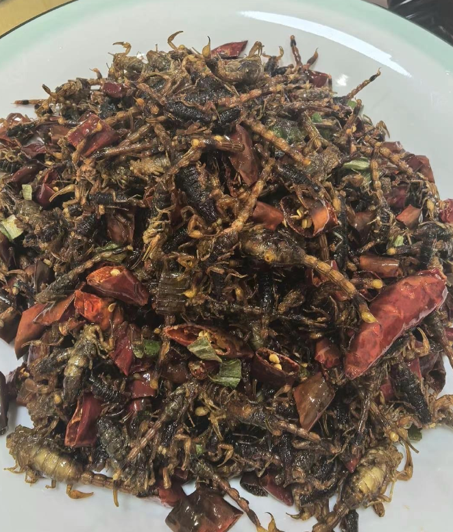 北方人的硬菜，谁知道这是什么特色美食？南方人应该没吃过吧？