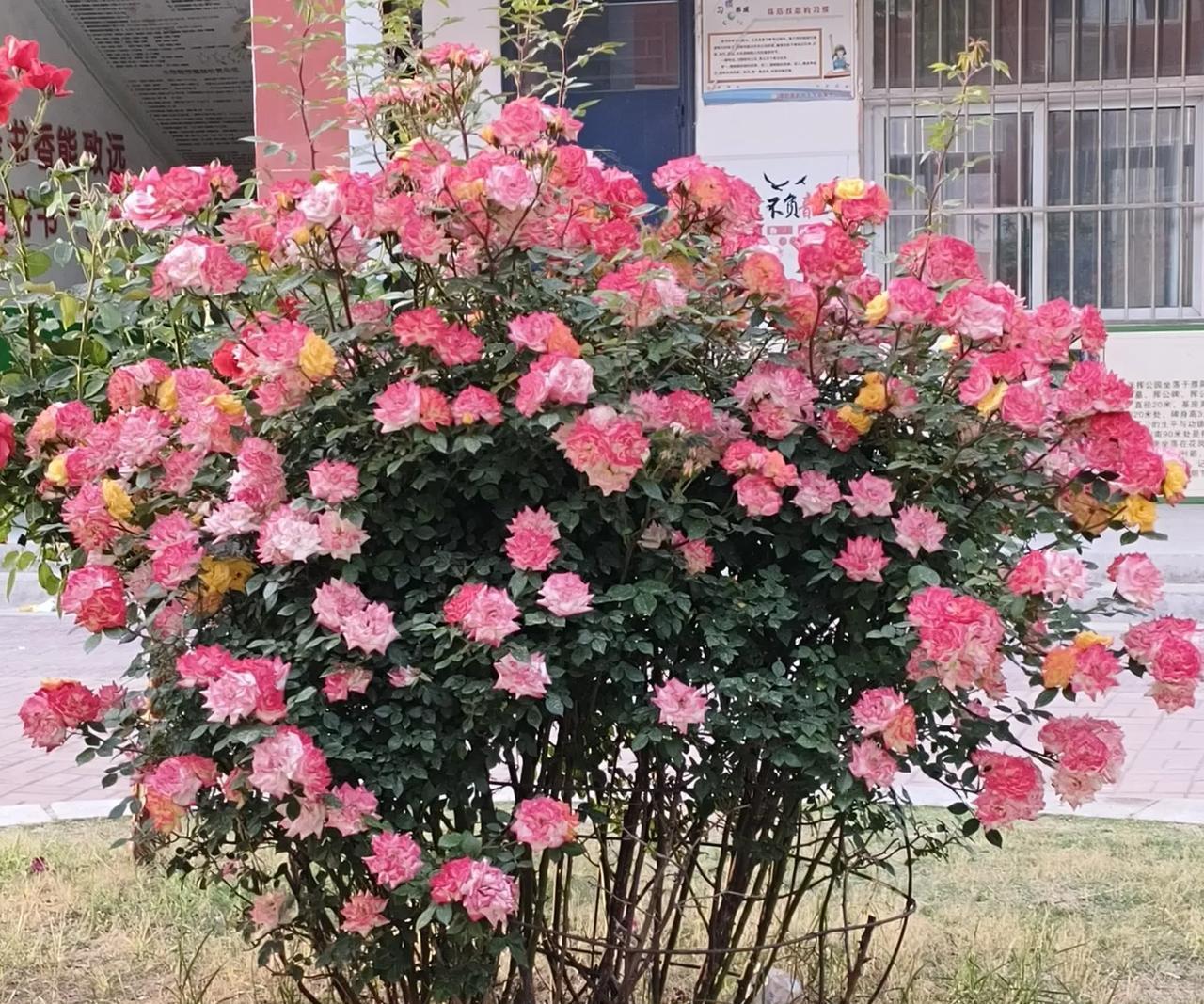 学校学情分析会上，针对不同的学生的教育问题大家讨论得非常激烈。其中一位老师说“让