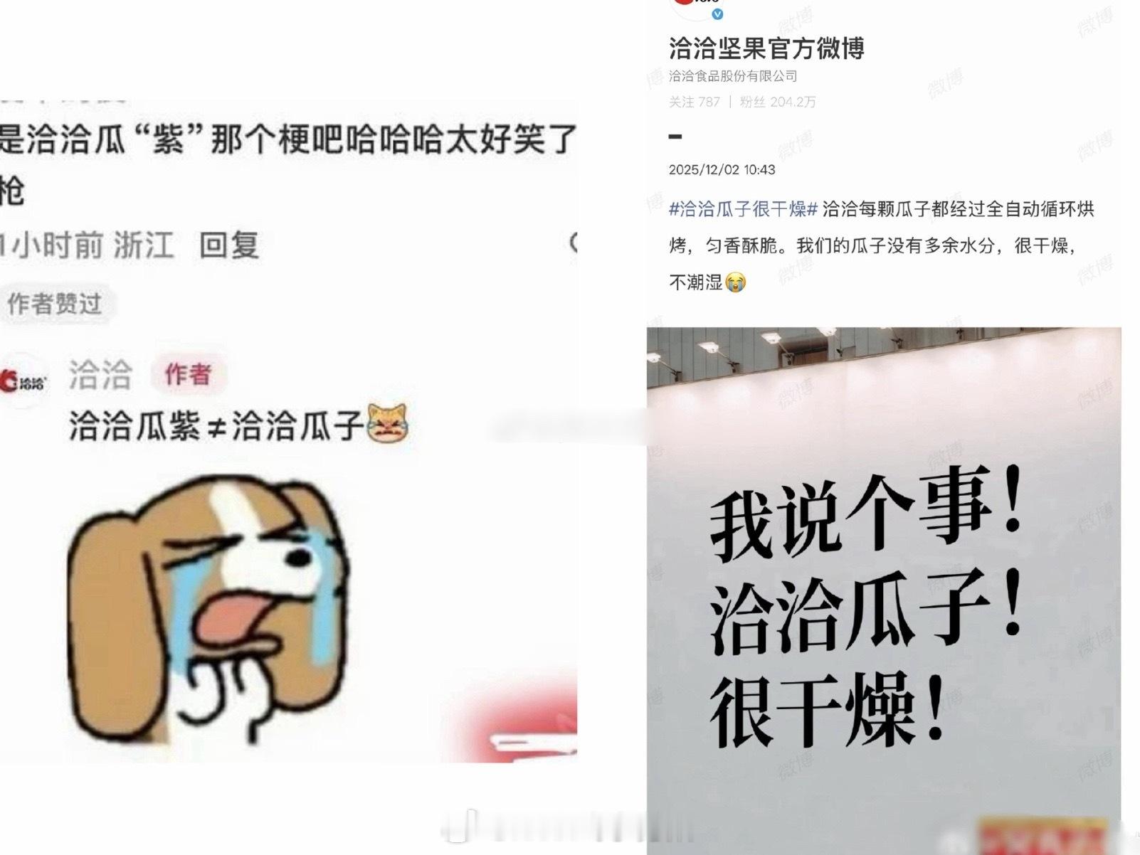 恰恰瓜子这个回复…内涵的很明显了